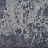 2014, 175갤러리 162x130cm_charcoal and oil on canvas